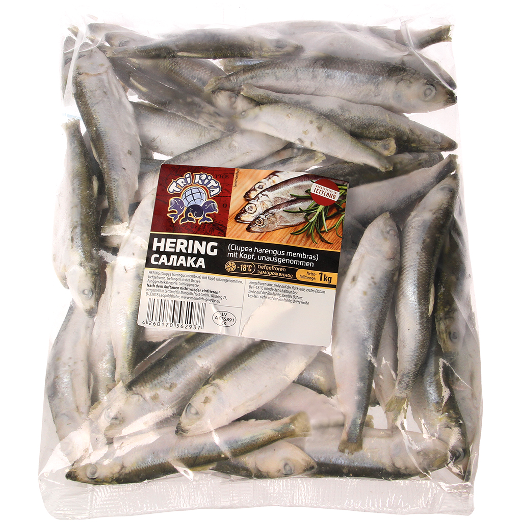 Strömling - Haring (Clupea harengus membras) met kop, ongekuist, diepgevroren