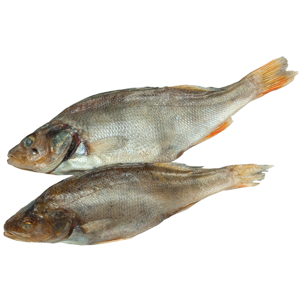 Окунь сушеный, соленый, замороженный