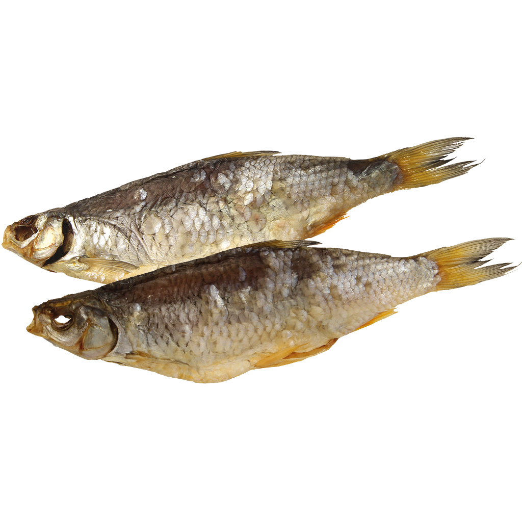 Plötze (Rutilus rutilus), ontdaan, gedroogd en gezouten, die