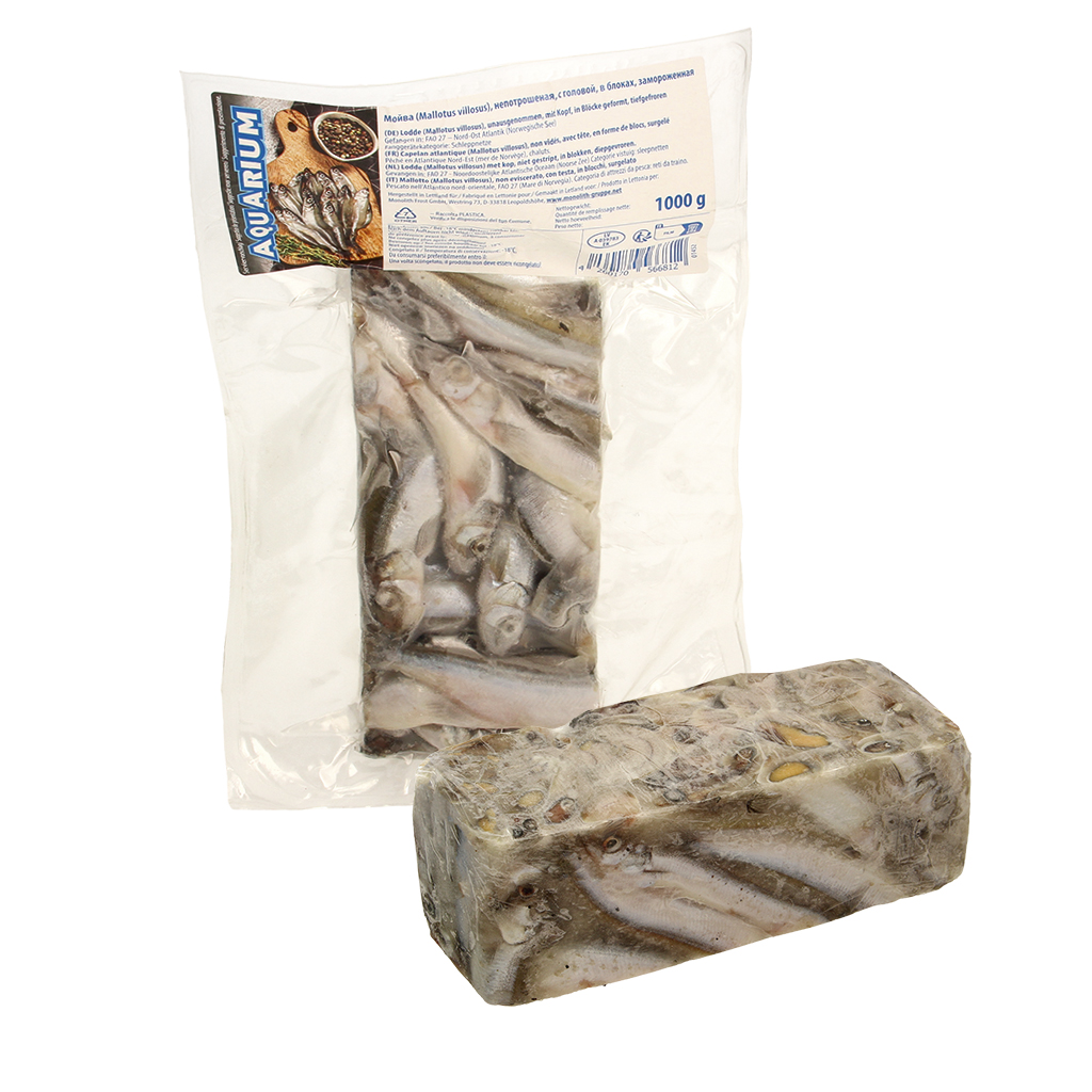 Мойва (Mallotus villosus), непотрошеная, с головой, в блоках