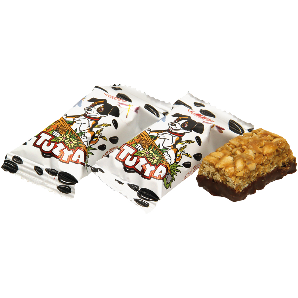 Zonnebloempitten-krokant "Tuzja" gedeeltelijk in cacaobasis