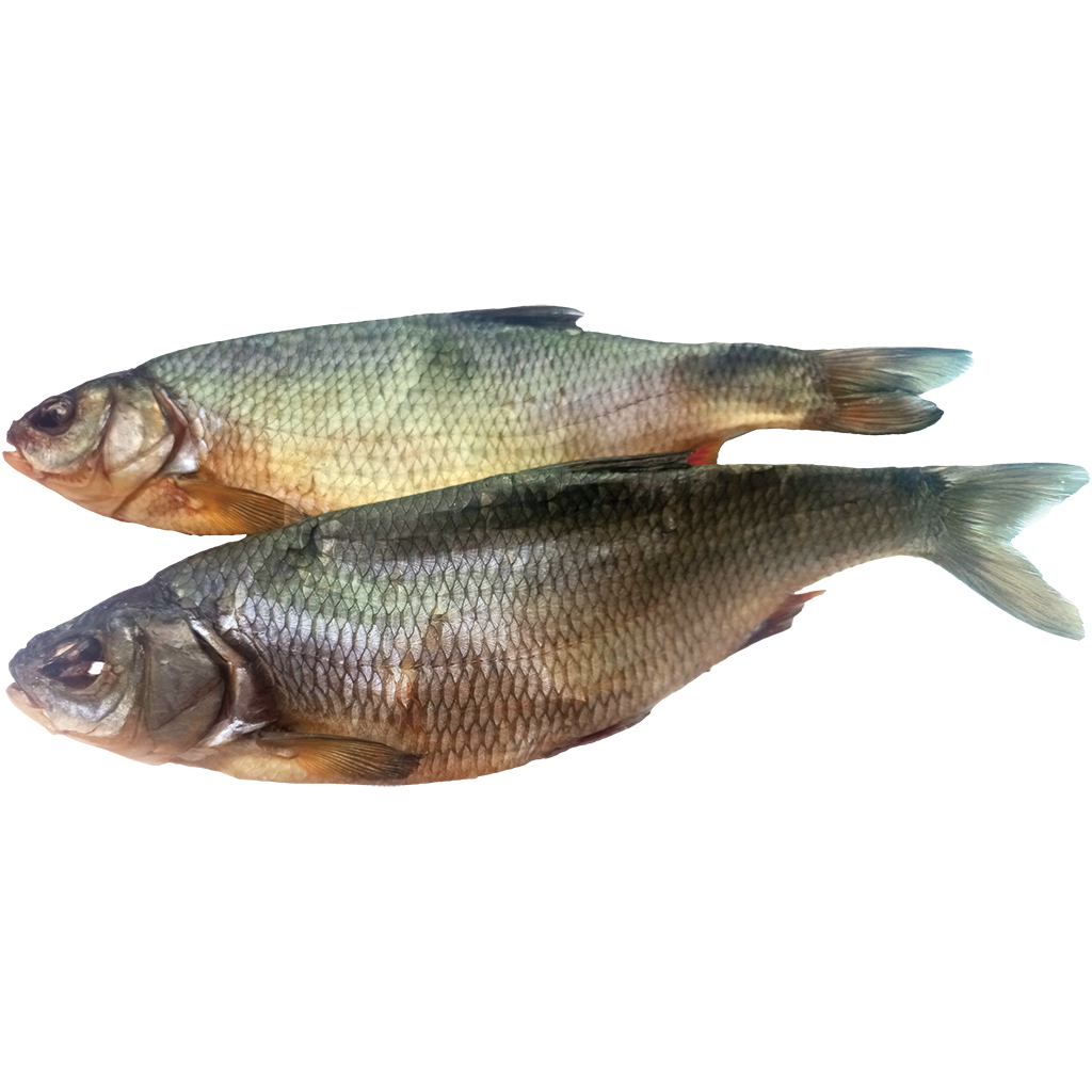 Язь, вялено-сушеный, потрошеный