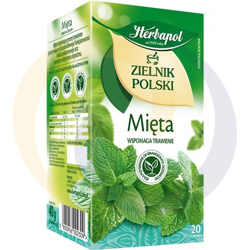Herbapol Zielnik Polski Munt Thee 40 g (20 x 2 g)