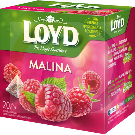 Чай фруктовый с малиновым вкусом Loyd 54 г (20 x 2,7 г)
