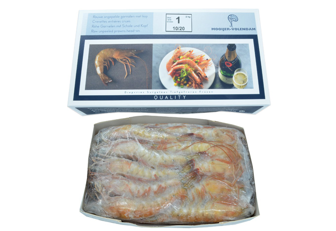 CHAMPAGNE Gamba 1 HOSO 10/20 9x2kg