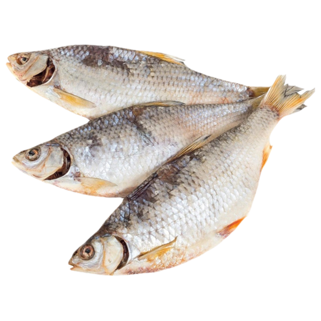 Краснопёрка непотрошенная, заморож./ на развес