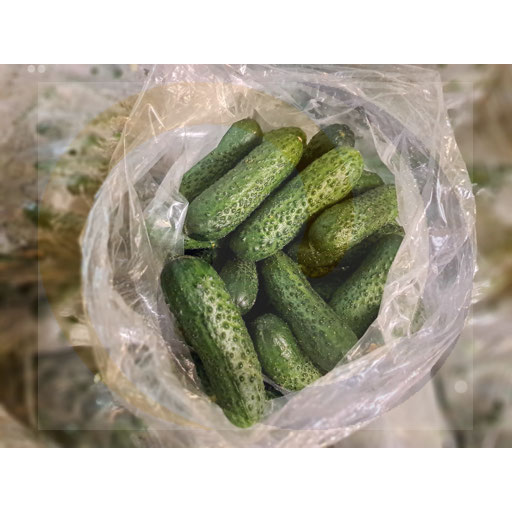 Gemalen komkommer 10kg / stuks Import
