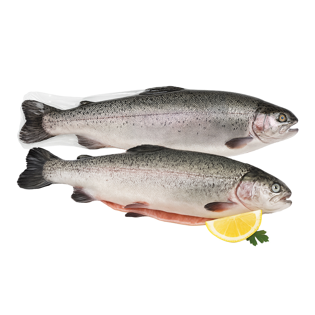 Zalmforel, ontdaan van ingewanden, met kop, rauw, gebruikskl