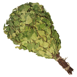 Berken sauna-bezem 55–60 cm