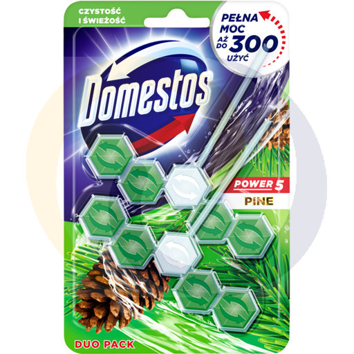 DOMESTOS POWER5 DUO TOILETBLOK 2X55G DENNEN