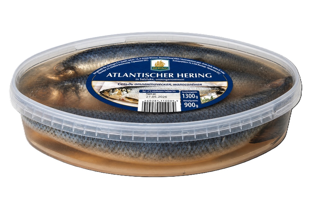 Atlantische haring in zoutwater, ongekuist
