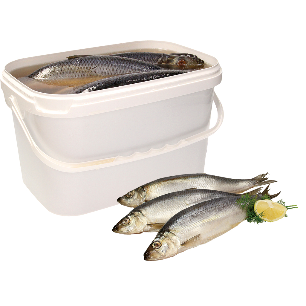 Сельдь непотрошеная, соленая