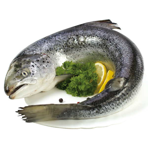 Verse zalm