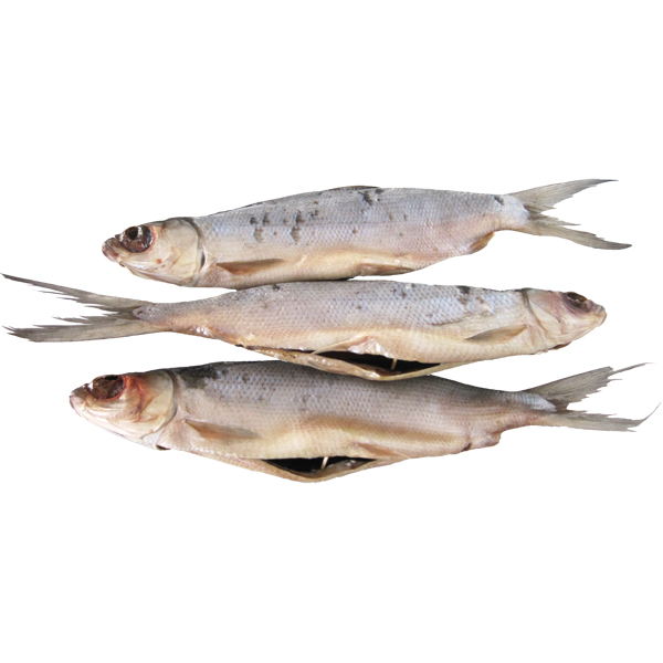 Ханос, сушено-соленый, потрошеный