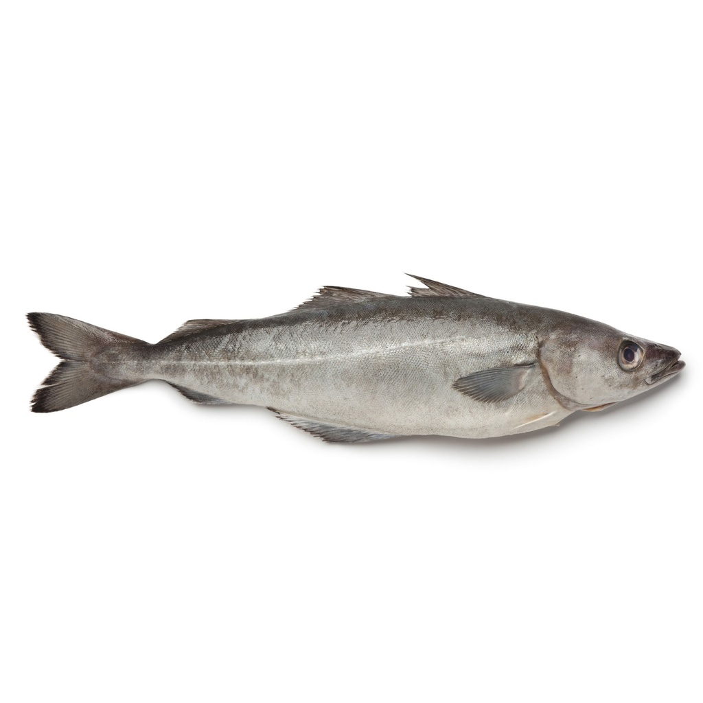 Koolvisfilet