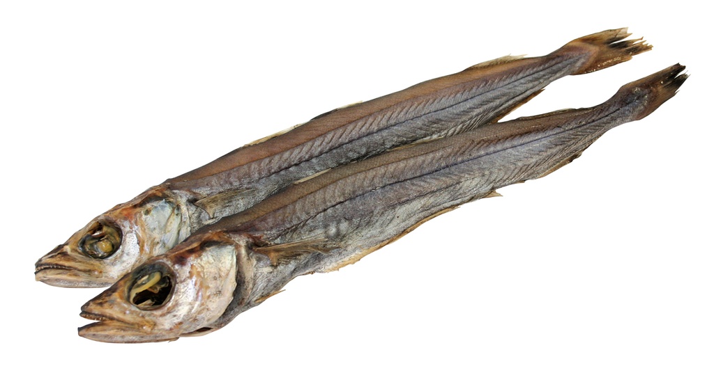 Blauwe wijting (Micromesistius poutassou), schoongemaakt, ge