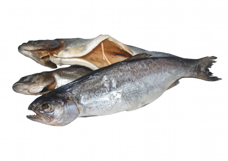 Gezouten en gedroogde forel, gestript. /los