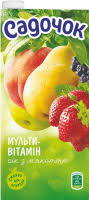 SADOCHOK Multivitamine sap met pulp 0,95l