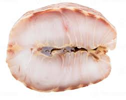 Steursteak