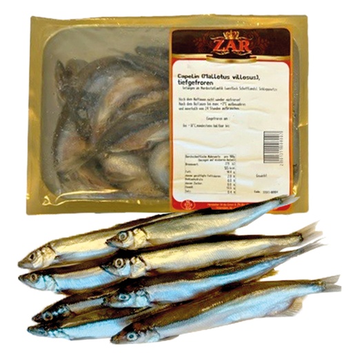 Мойва (Mallotus villosus) замороженная