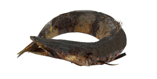 Barracuda ring gerookt en gedroogd