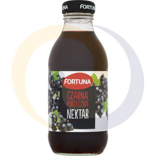 Сок из черной смородины Fortuna Nectar 300 мл