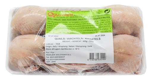 Kwartel (Chim Cut) variabel 6x4 stuks