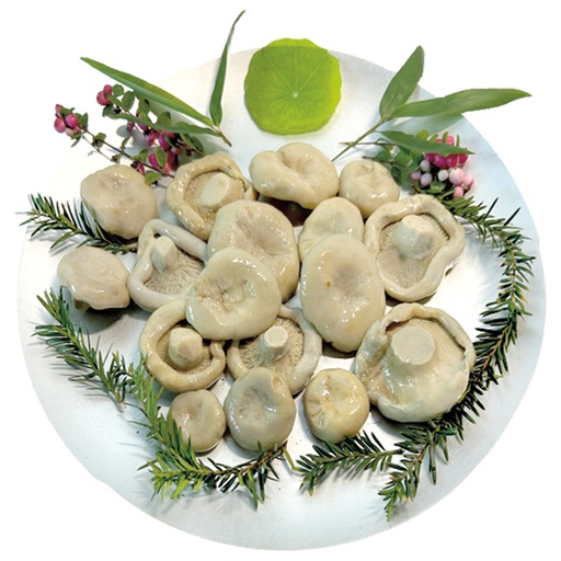 Широколистная белая сыроежка "Ресторание", лактоферментирова