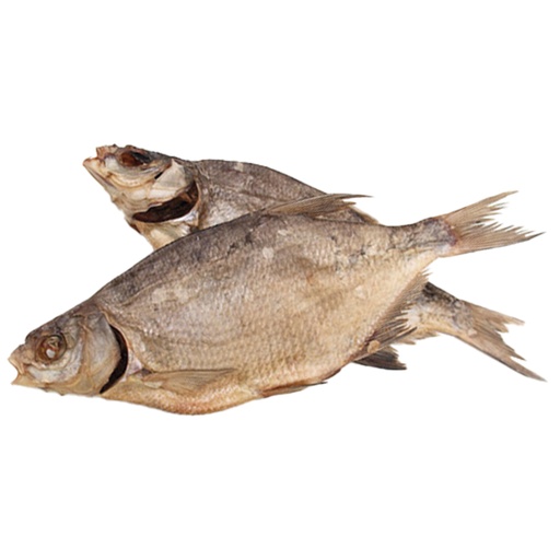 Blikken, gezouten en gedroogd, ongeacht, ontdooid / los