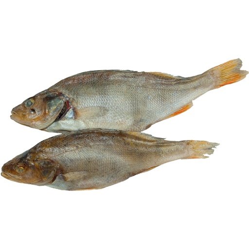 Zoute en gedroogde baars (Perca uviatilis), niet schoongemaa