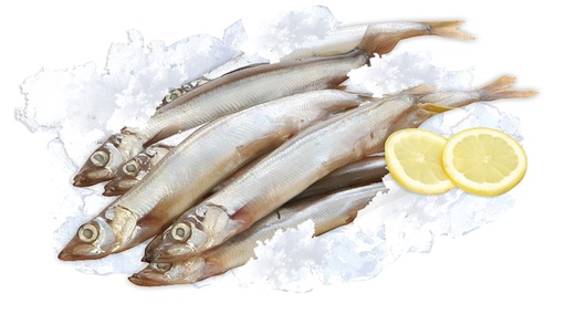 Мойва (Mallotus villosus), замороженная