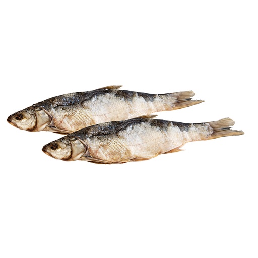 Gefileerde rapfen (Aspius aspius), gezouten en gedroogd