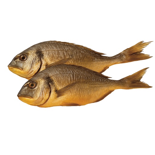 Heetgerookte Dorade Royal (Sparus aurata), schoongemaakt