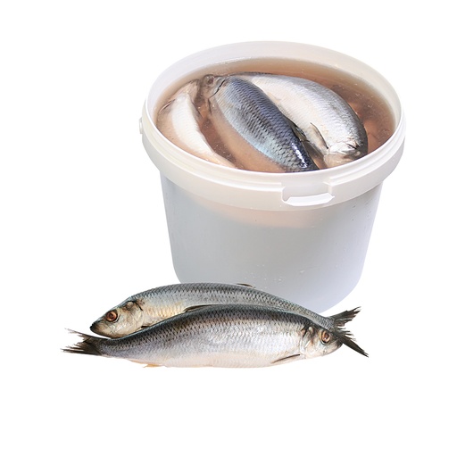 Сельдь атлантическая соленая