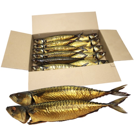 Makreel (Scomber scombrus) met kop, ontdaan van ingewanden, heet gerookt