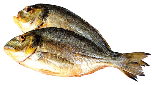 Dorade Royal (Sparus aurata) uitgenomen, koudgerookt