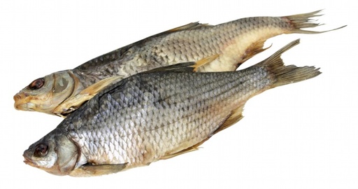 Sla (Rutilus rutilus) gezouten en gedroogd, niet schoongemaa