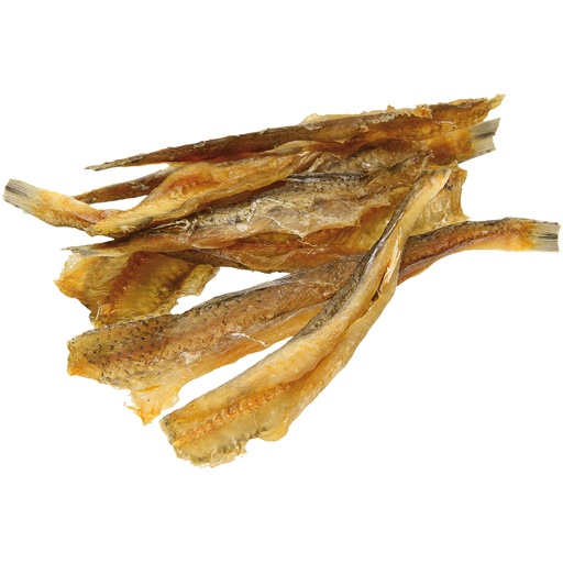 Snack van grote schubvoorn (Saurida Undosquamis), luchtgedro