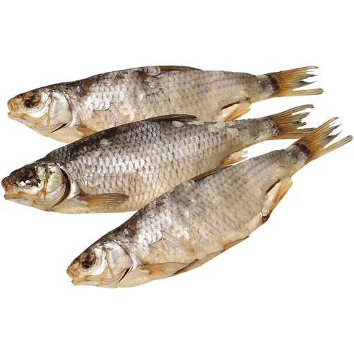 Plötze (Rutilus rutilus) met hoofd, gedroogd en gezouten, on