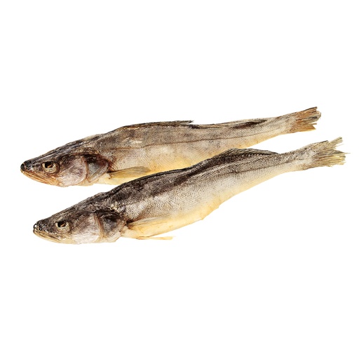 Zander (Stizostedion lucioperca) gezouten en gedroogd, niet