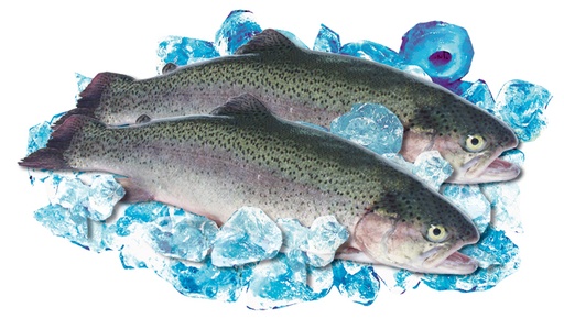 Свежая форель