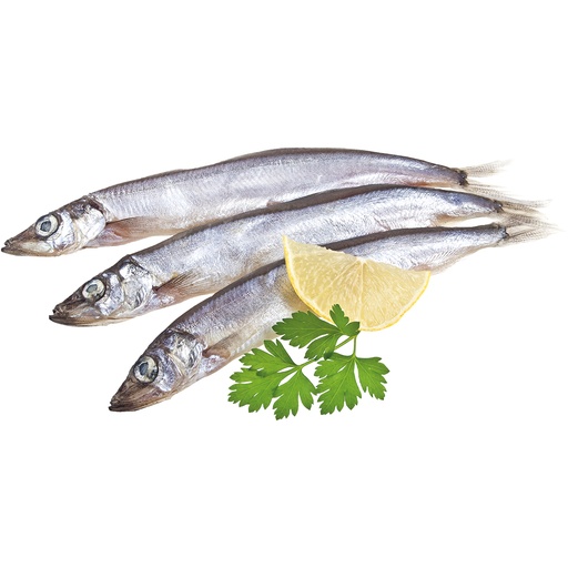 Verse Sardines